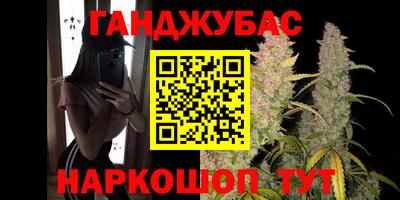 Альфа ПВП Будённовск