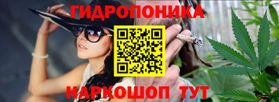 Альфа ПВП Будённовск