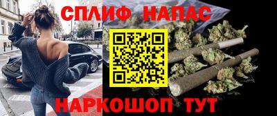 Альфа ПВП Будённовск